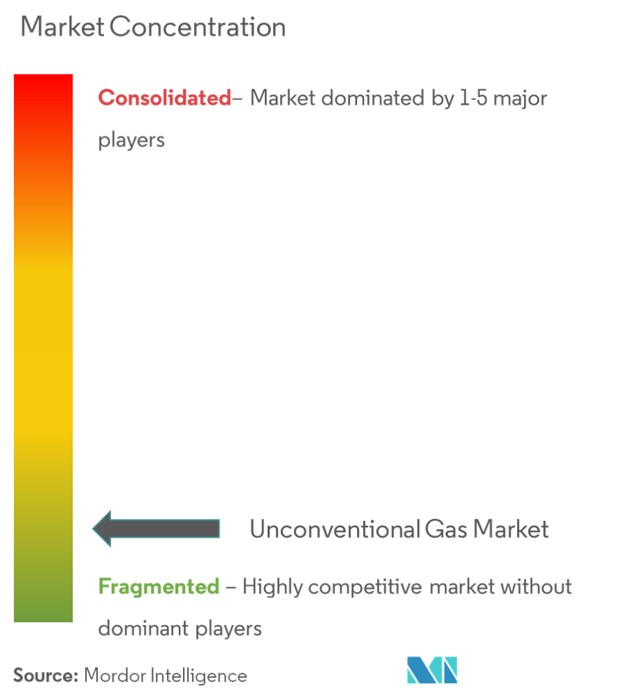 Gas no convencionalConcentración del Mercado